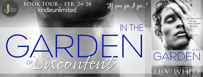 In The Garden of Discontent Tour Banner